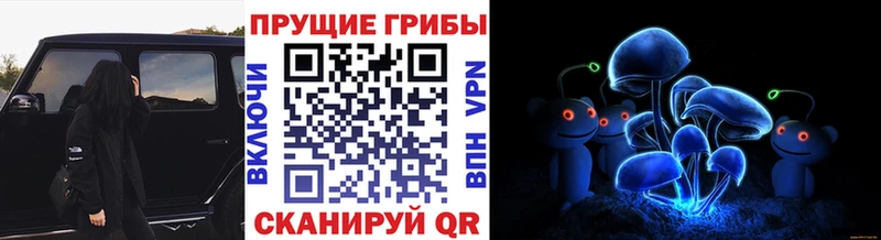 Купить  Вуктыл  Галлюциногенные грибы ЛСД 